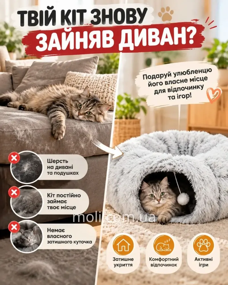 Твій кіт знову зайняв диван?