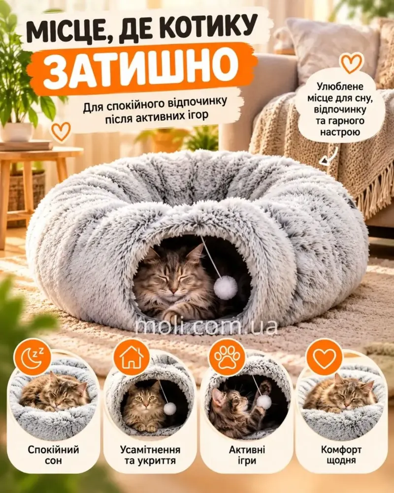 Місце, де котику затишно
