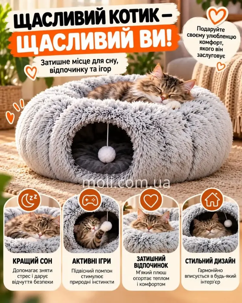Щасливий котик — щасливі ви